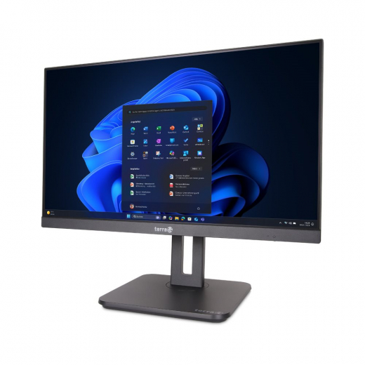 TERRA ALL-IN-ONE-PC 2420HA V2 GREENLINE (1000175)