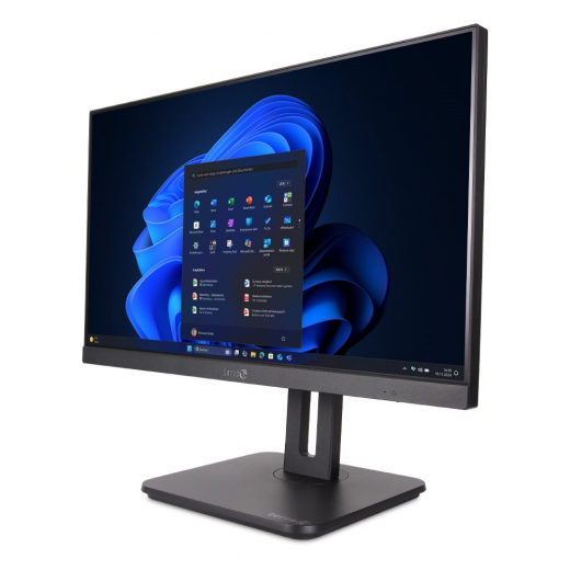 TERRA ALL-IN-ONE-PC 2420HA V2 GREENLINE (1000175)