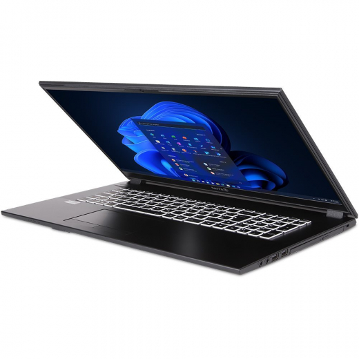TERRA MOBILE 1716R i5-1334U W11P (1220854)