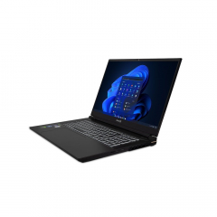 TERRA MOBILE GAMER ELITE 5v2 i9-13900HX W11P (1220782)